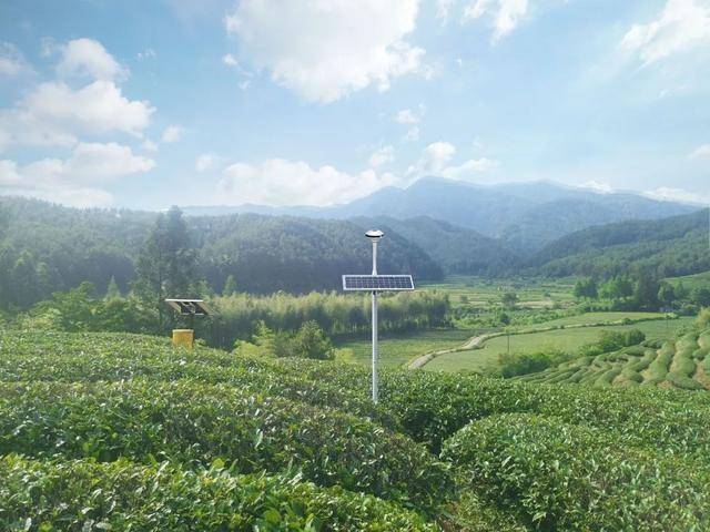 智慧茶園建設