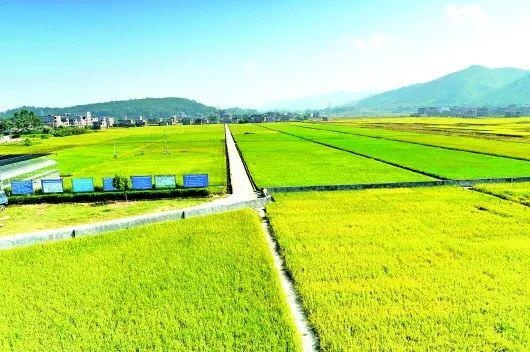 智慧農(nóng)業(yè)硬件提供商